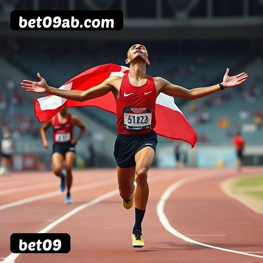 Níveis do programa VIP da bet09